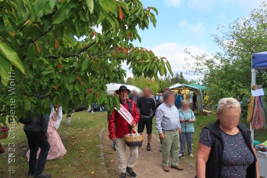 Im Pomologischen Garten Döllingen